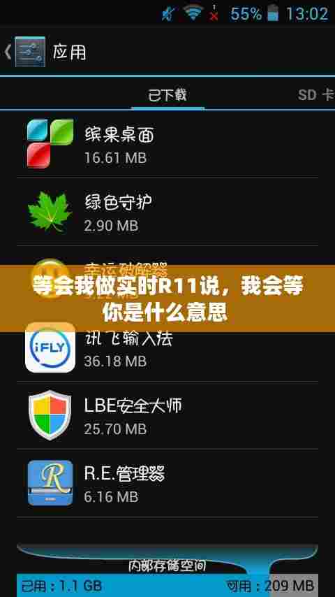 等会我做实时R11说,我会等你是什么意思