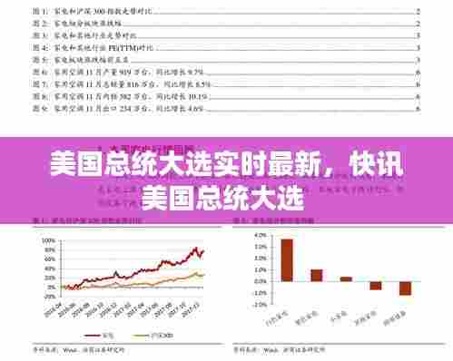 美国总统大选实时最新，快讯美国总统大选 