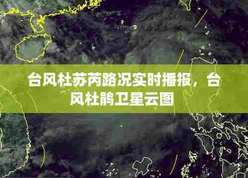 台风杜苏芮路况实时播报,台风杜鹃卫星云图