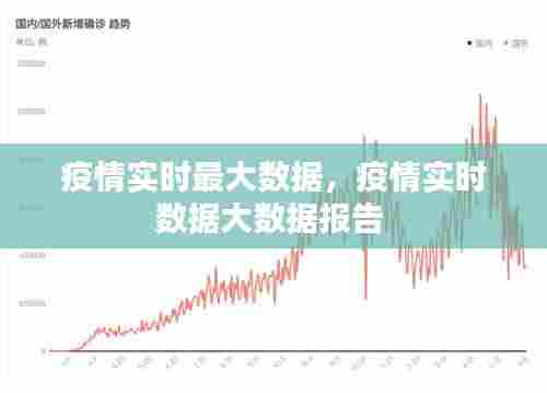 疫情实时最大数据，疫情实时数据大数据报告 