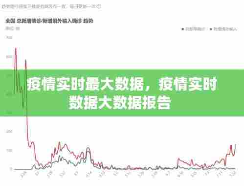 疫情实时最大数据,疫情实时数据大数据报告