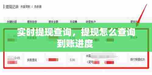 实时提现查询,提现怎么查询到账进度