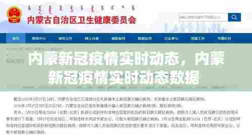 内蒙新冠疫情实时动态，内蒙新冠疫情实时动态数据 