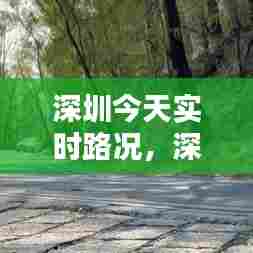 深圳今天实时路况，深圳今天实时路况最新 