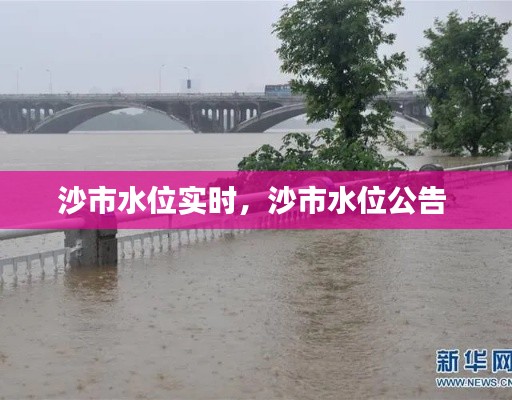 沙市水位实时,沙市水位公告