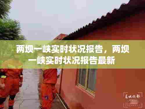 两坝一峡实时状况报告,两坝一峡实时状况报告最新
