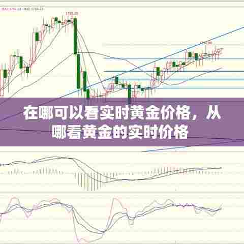 在哪可以看实时黄金价格，从哪看黄金的实时价格 