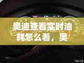 奥迪查看实时油耗怎么看，奥迪怎么看油表还有多少油 