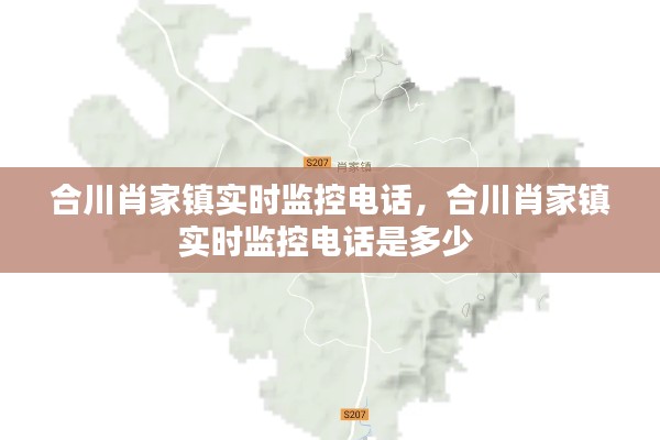 合川肖家镇实时监控电话,合川肖家镇实时监控电话是多少