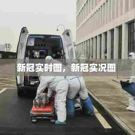 新冠实时图，新冠实况图 