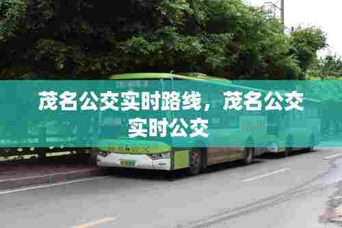 茂名公交实时路线，茂名公交实时公交 