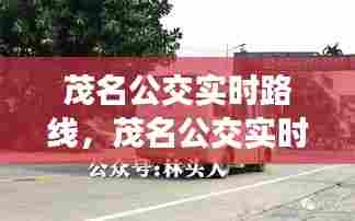 茂名公交实时路线,茂名公交实时公交