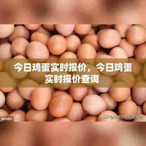 今日鸡蛋实时报价,今日鸡蛋实时报价查询