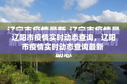 辽阳市疫情实时动态查询,辽阳市疫情实时动态查询最新