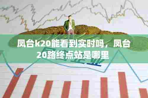 凤台k20能看到实时吗，凤台20路终点站是哪里 