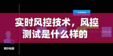 实时风控技术,风控测试是什么样的