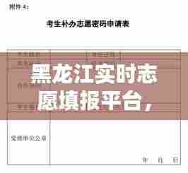 黑龙江实时志愿填报平台,黑龙江志愿填报系统