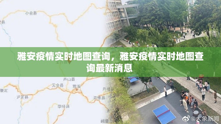雅安疫情实时地图查询,雅安疫情实时地图查询最新消息