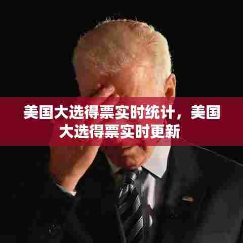 美国大选得票实时统计,美国大选得票实时更新