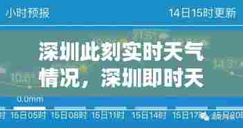 深圳此刻实时天气情况,深圳即时天气实况