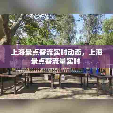 上海景点客流实时动态,上海景点客流量实时