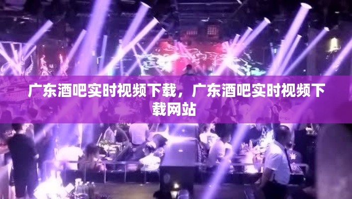 广东酒吧实时视频下载,广东酒吧实时视频下载网站