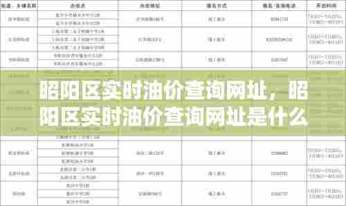 昭阳区实时油价查询网址,昭阳区实时油价查询网址是什么