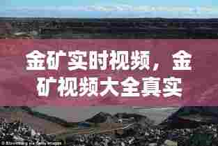 金矿实时视频，金矿视频大全真实 