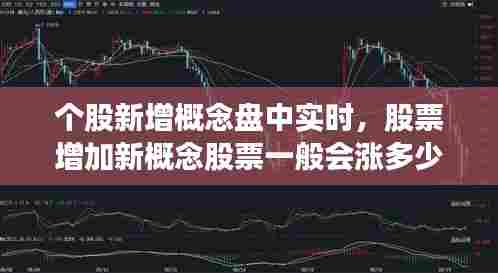 个股新增概念盘中实时,股票增加新概念股票一般会涨多少