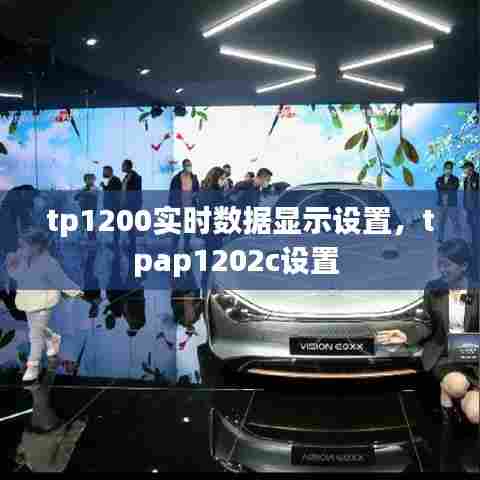 tp1200实时数据显示设置，tpap1202c设置 