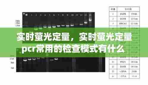 实时萤光定量,实时萤光定量pcr常用的检查模式有什么