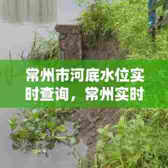 常州市河底水位实时查询,常州实时水情查询