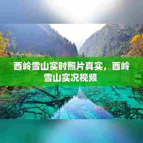 西岭雪山实时照片真实,西岭雪山实况视频