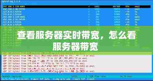 查看服务器实时带宽,怎么看服务器带宽