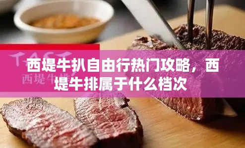 西堤牛扒自由行热门攻略，西堤牛排属于什么档次 