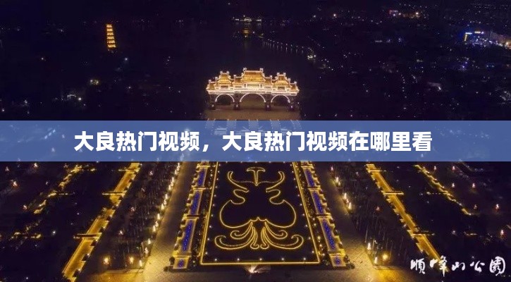 大良热门视频,大良热门视频在哪里看