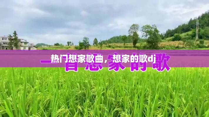 热门想家歌曲,想家的歌dj