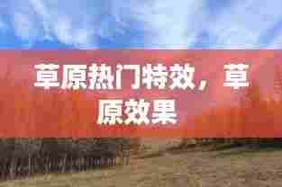 草原热门特效,草原效果