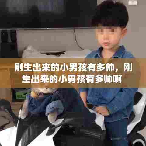 刚生出来的小男孩有多帅,刚生出来的小男孩有多帅啊