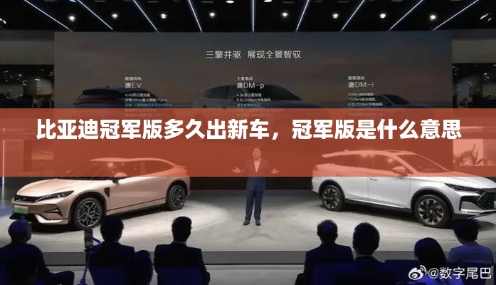 比亚迪冠军版多久出新车,冠军版是什么意思