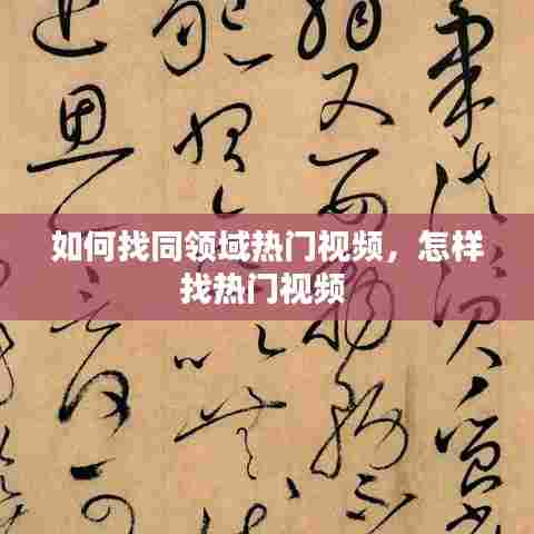 如何找同领域热门视频,怎样找热门视频