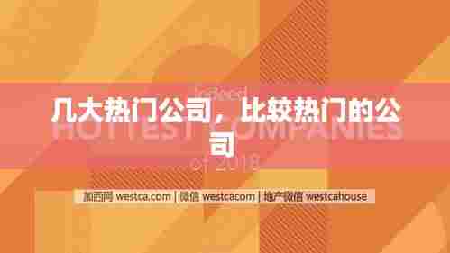 几大热门公司，比较热门的公司 