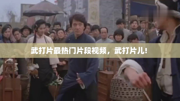 武打片最热门片段视频，武打片儿! 