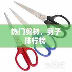 热门剪材，剪子排行榜 