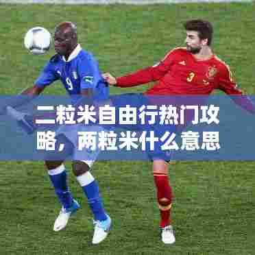 二粒米自由行热门攻略，两粒米什么意思 