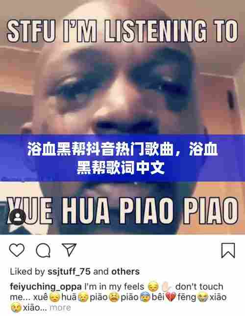 浴血黑帮抖音热门歌曲,浴血黑帮歌词中文