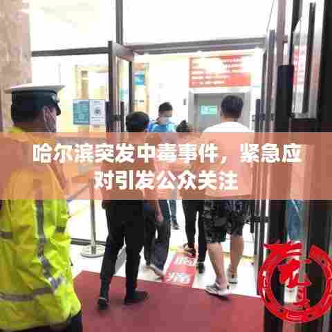 哈尔滨突发中毒事件,紧急应对引发公众关注