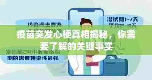 疫苗突发心梗真相揭秘，你需要了解的关键事实
