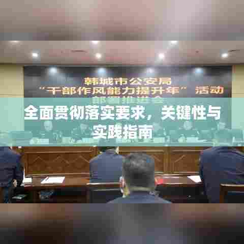 全面贯彻落实要求,关键性与实践指南