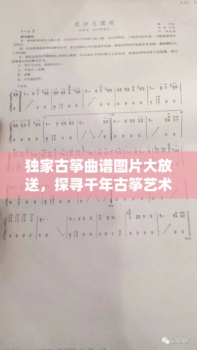 独家古筝曲谱图片大放送，探寻千年古筝艺术的独特魅力